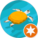 Qai I. profile picture